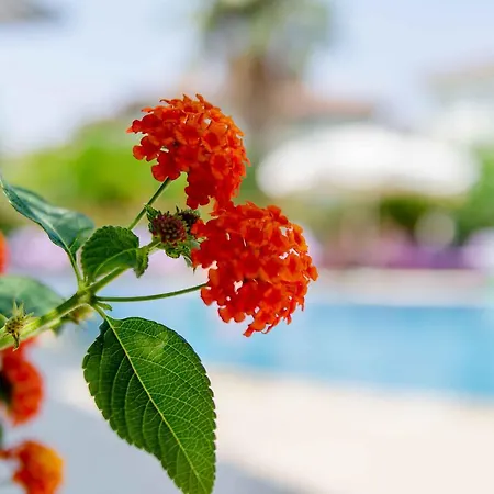 Calbis Otel Dalyan