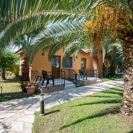 Calbis داليان